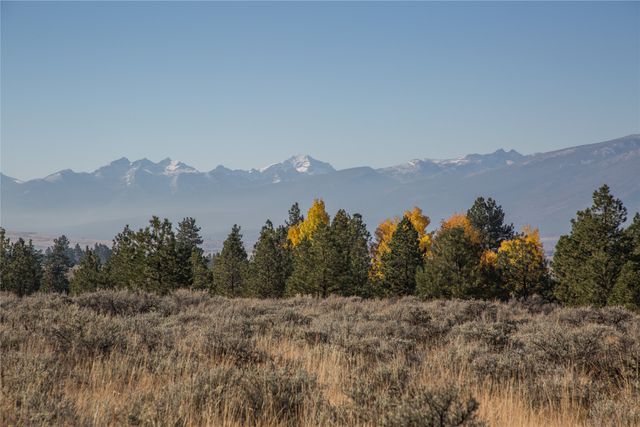 NHNs Lord Byron Trail, Hamilton, MT 59840 property photo