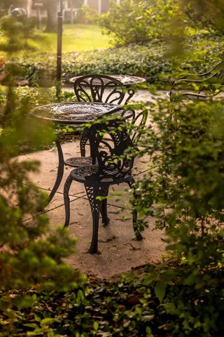 900 E Walnut Street, Springfield, MO 65806