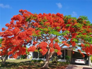 26257 Queen Mary LN, Bonita Springs, FL 34135