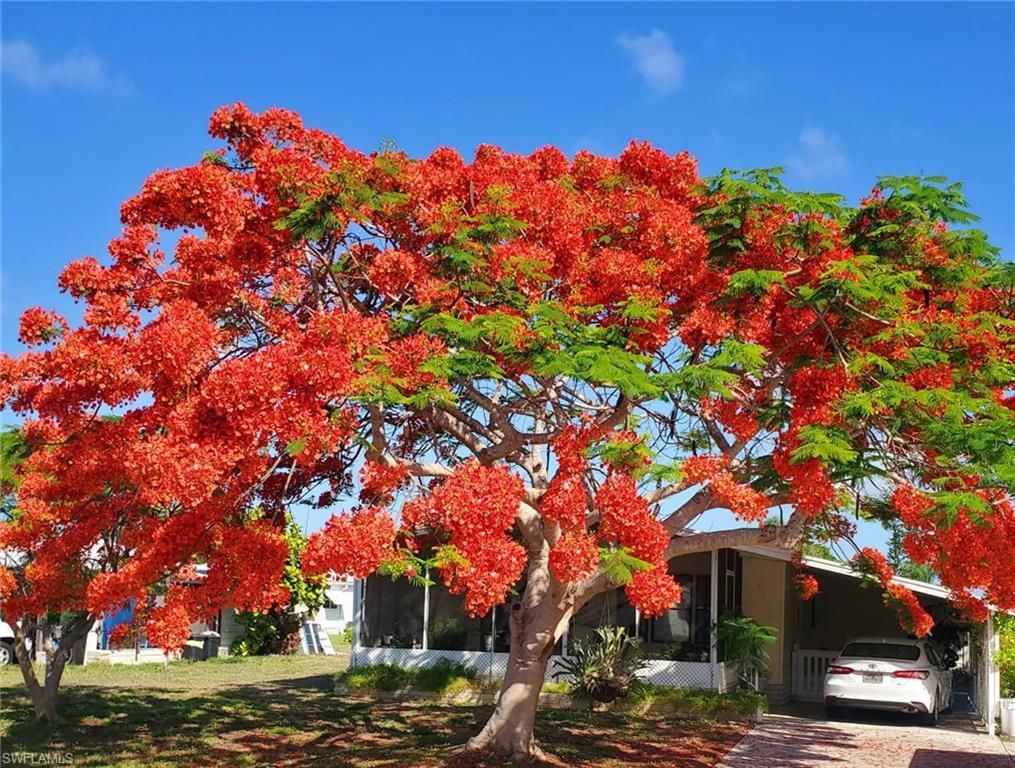 26257 Queen Mary LN, Bonita Springs, FL 34135