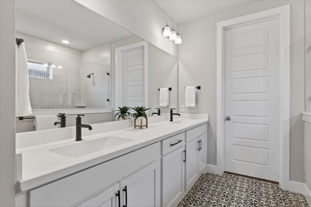 436 Desert Willow Drive, Little Elm, TX 75068