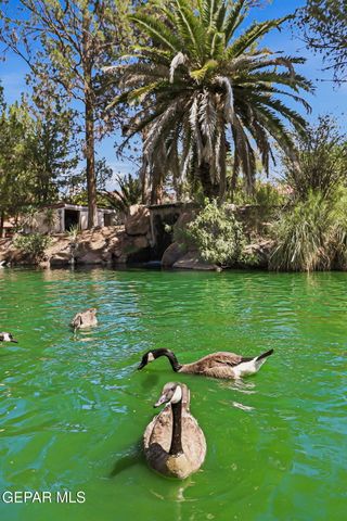 717 LAKESHORE Drive, El Paso, TX 79932