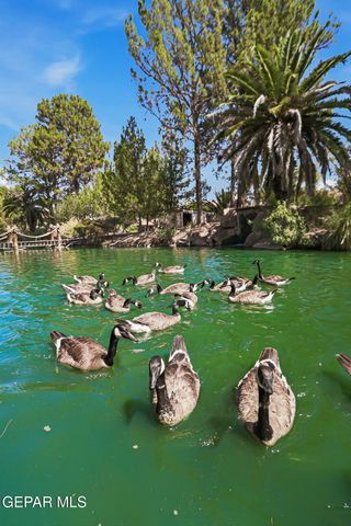 717 LAKESHORE Drive, El Paso, TX 79932