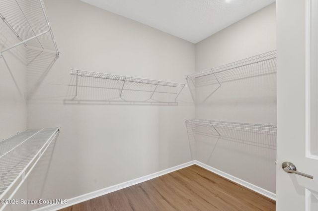 8874 Nixie Avenue, Melbourne, FL 32940
