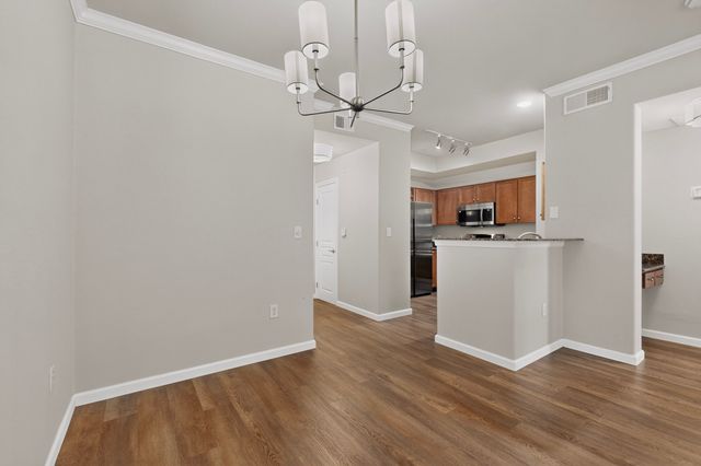330 Las Colinas Boulevard E 170, Irving, TX 75039