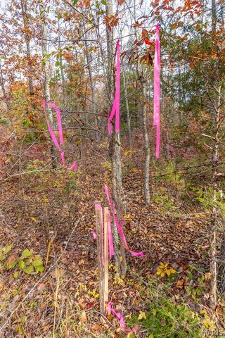 000 Mo-Jj, Marquand, MO 63645