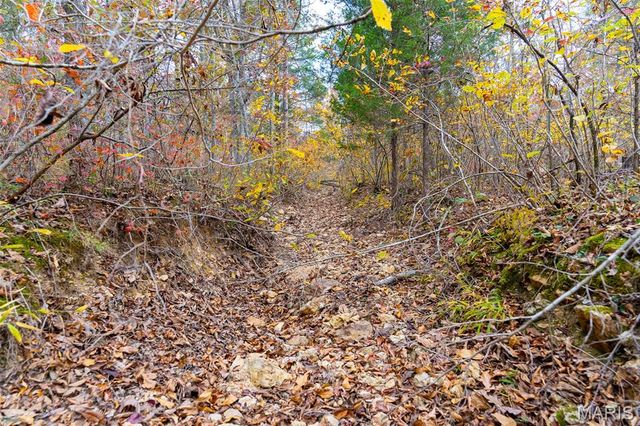 000 Mo-Jj, Marquand, MO 63645