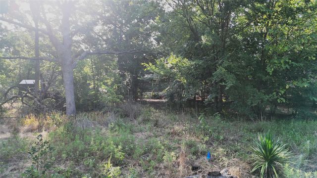 TBD Cherokee Trail, Hawk Cove, TX 75474