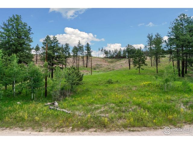 620 Davis Ranch Rd, Bellvue, CO 80512