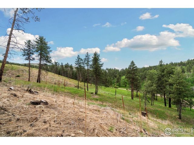 620 Davis Ranch Rd, Bellvue, CO 80512