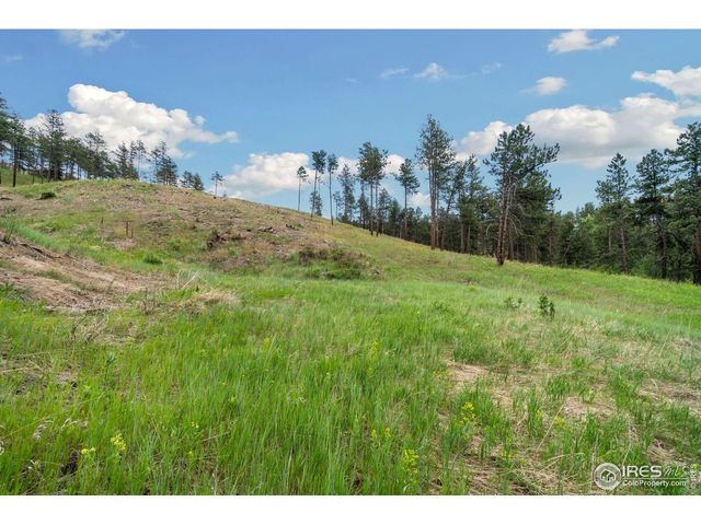 620 Davis Ranch Rd, Bellvue, CO 80512