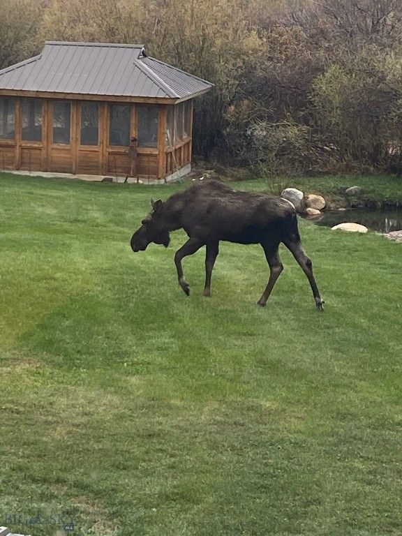 155  Moose Run, Polaris, MT 59746 photo 3