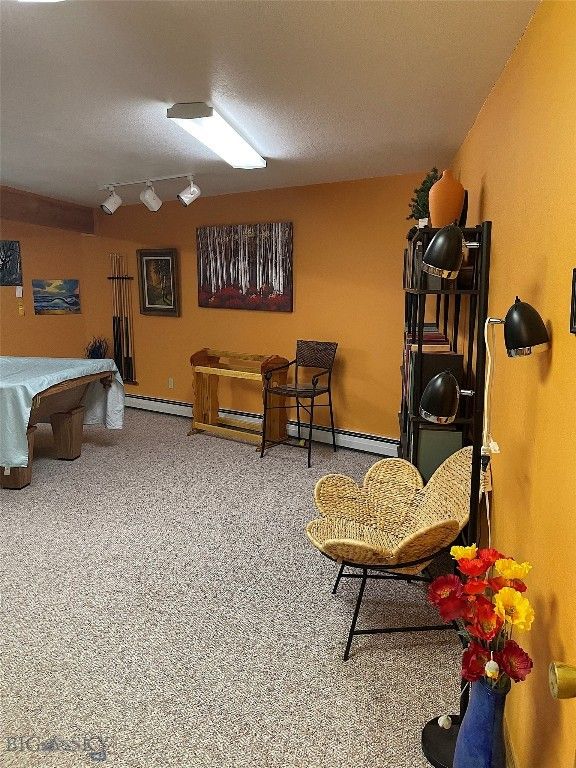 155  Moose Run, Polaris, MT 59746 photo 39