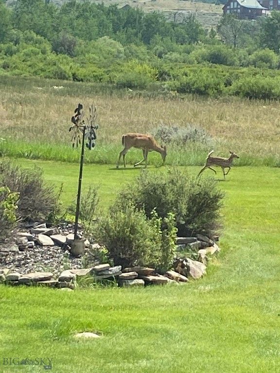 155  Moose Run, Polaris, MT 59746 photo 4