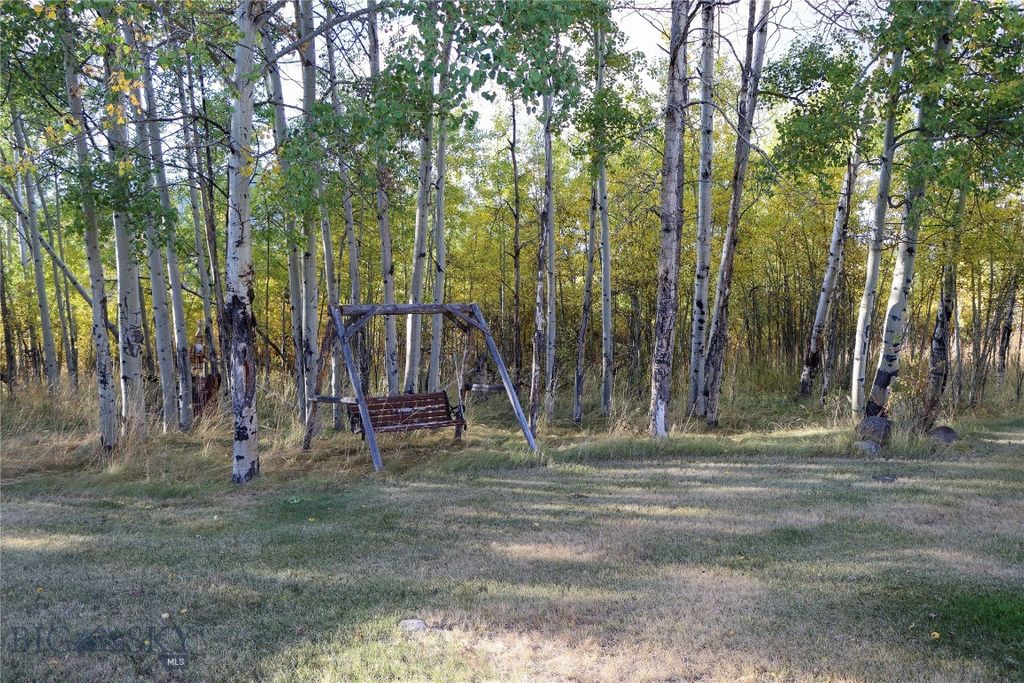 155  Moose Run, Polaris, MT 59746 photo 43