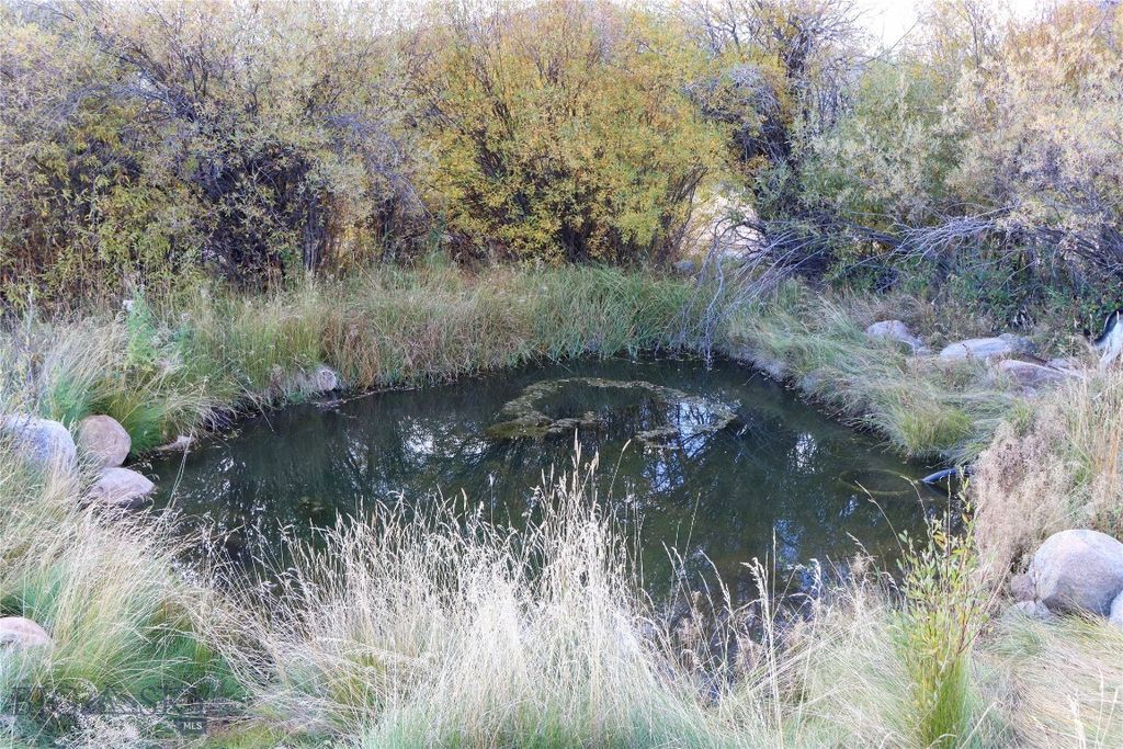 155  Moose Run, Polaris, MT 59746 photo 47