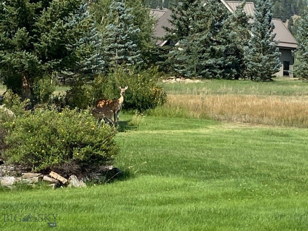 155  Moose Run, Polaris, MT 59746 photo 5