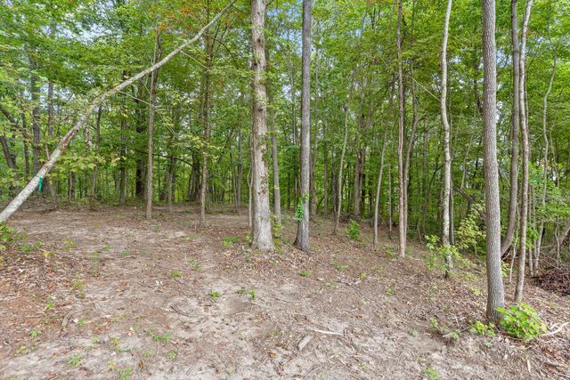 3274 River Gorge Drive Homesite 1407, Chattanooga, TN 37419