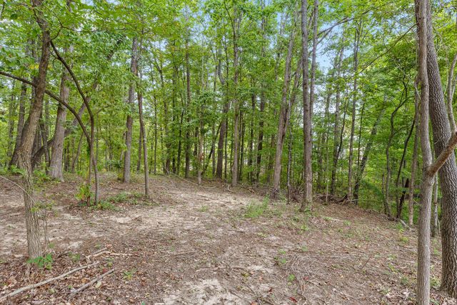 3274 River Gorge Drive Homesite 1407, Chattanooga, TN 37419