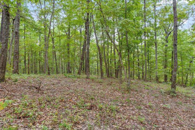 3274 River Gorge Drive Homesite 1407, Chattanooga, TN 37419