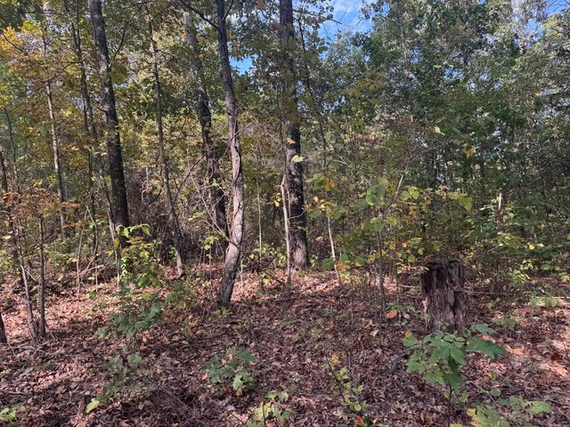 000 Tbd Yy Highway, Norwood, MO 65717