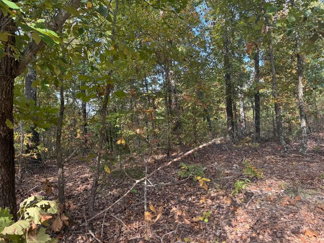 000 Tbd Yy Highway, Norwood, MO 65717