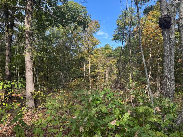 000 Tbd Yy Highway, Norwood, MO 65717