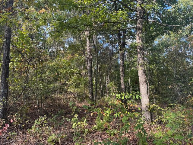 000 Tbd Yy Highway, Norwood, MO 65717