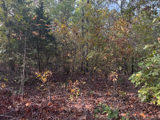 000 Tbd Yy Highway, Norwood, MO 65717