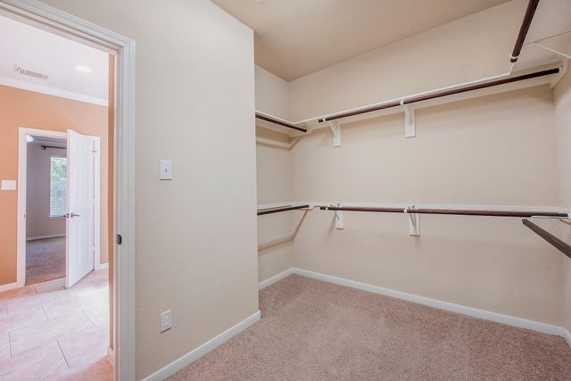 158 Rocky Point Drive, Spring, TX 77389