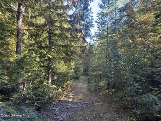 NNA Rustic Way North Lot 8, Spirit Lake, ID 83869
