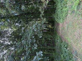 C Drive, Albion, MI 49224