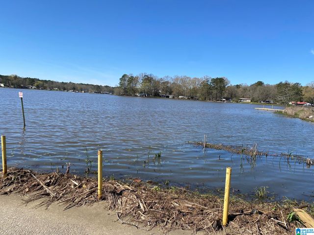 63 SHORE DRIVE, Ashville, AL 35953