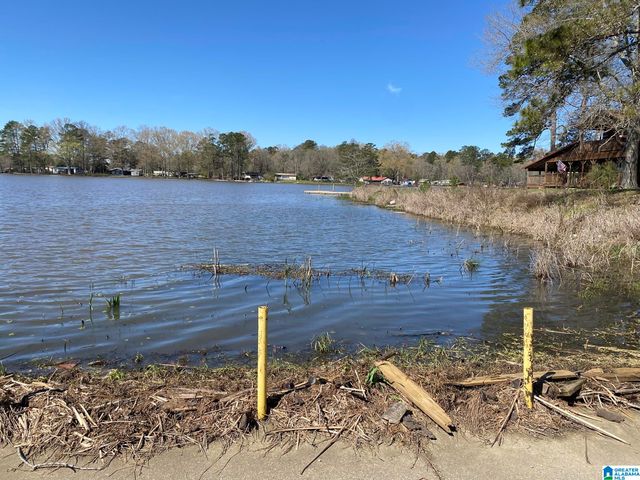 63 SHORE DRIVE, Ashville, AL 35953