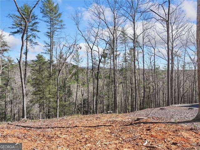 0 Riverlodge Drive, Ellijay, GA 30540