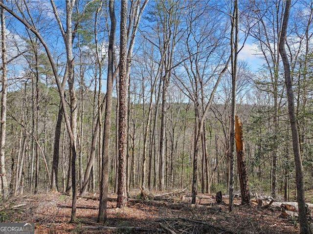 0 Riverlodge Drive, Ellijay, GA 30540