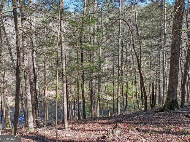 0 Riverlodge Drive, Ellijay, GA 30540