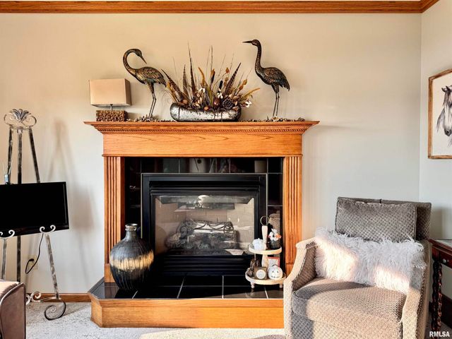 102 5TH Street 6, Fulton, IL 61252