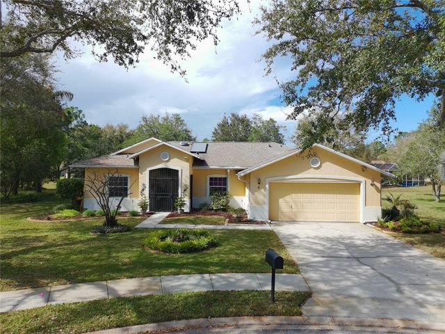 6 MONTAUK COURT, Palm Coast, FL 32164