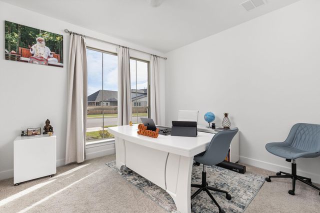 317 Golden Sage Ave, Georgetown, TX 78633