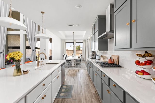 317 Golden Sage Ave, Georgetown, TX 78633