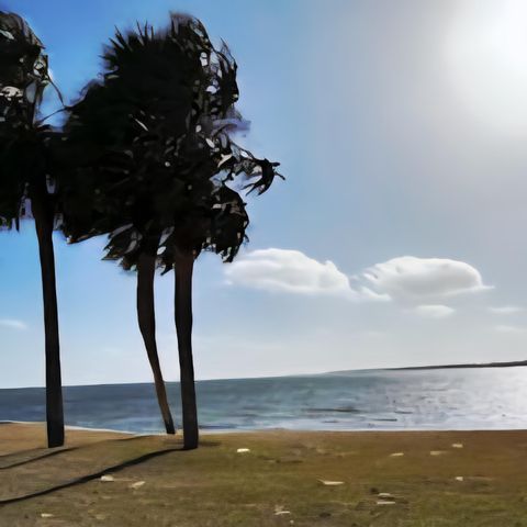 101 OLD FERRY Road, 9A, Shalimar, FL 32579