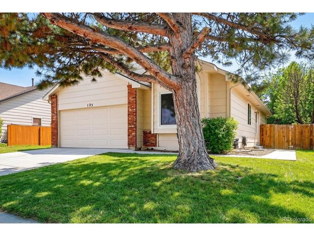 125 N Holcomb St, Castle Rock, CO 80104