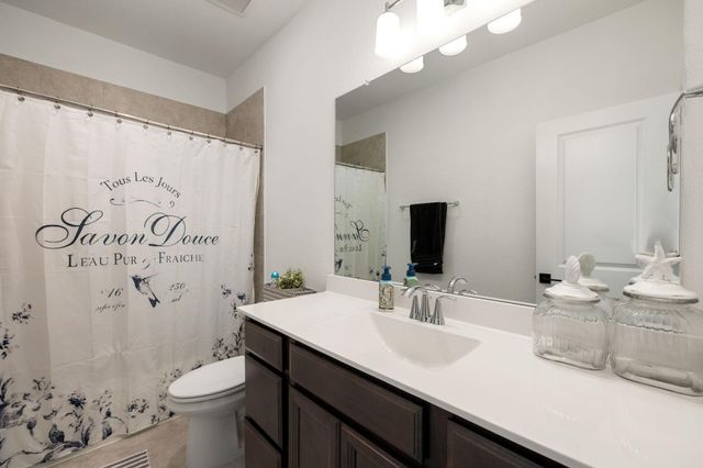 17454 Vino Vines Lane, Conroe, TX 77302