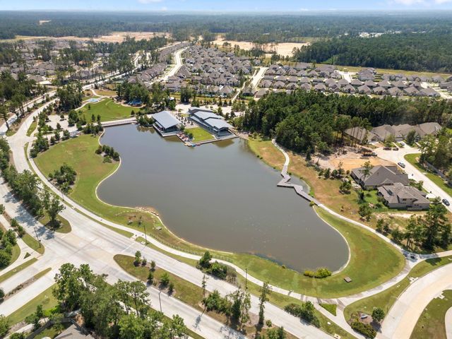 17454 Vino Vines Lane, Conroe, TX 77302