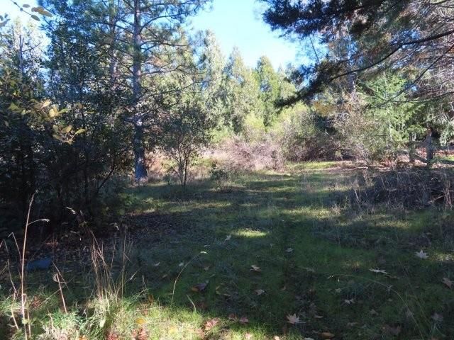 6534 Kelsey Rd, Placerville, CA 95667