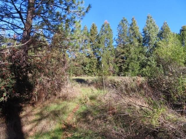 6534 Kelsey Rd, Placerville, CA 95667