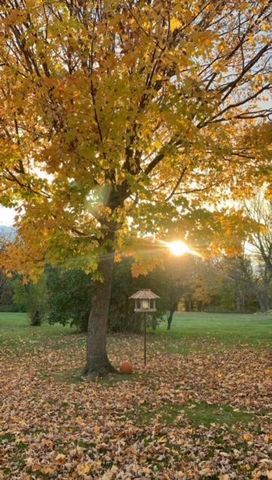 37165 County 7, Bagley, MN 56621