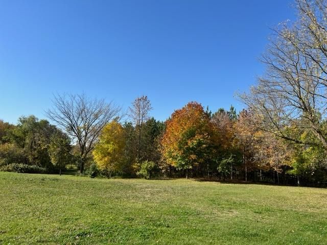 37165 County 7, Bagley, MN 56621