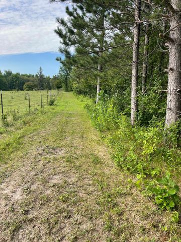 37165 County 7, Bagley, MN 56621